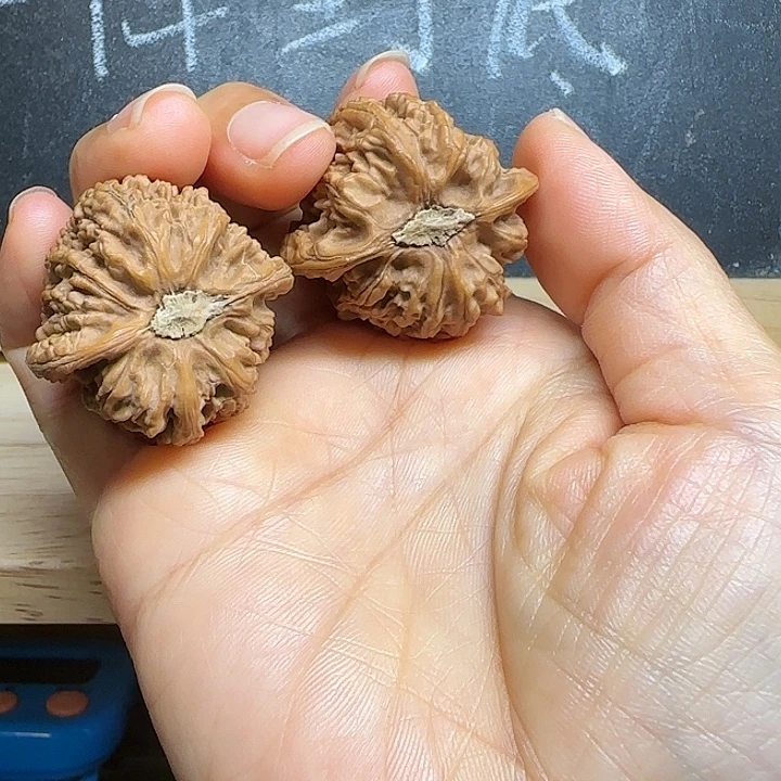 核桃手串/手链密纹35有修