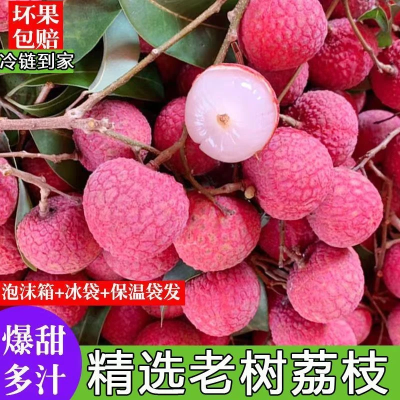 广东本地大荔枝新鲜桂味黑叶妃子笑现摘现发当季水果5斤装整箱