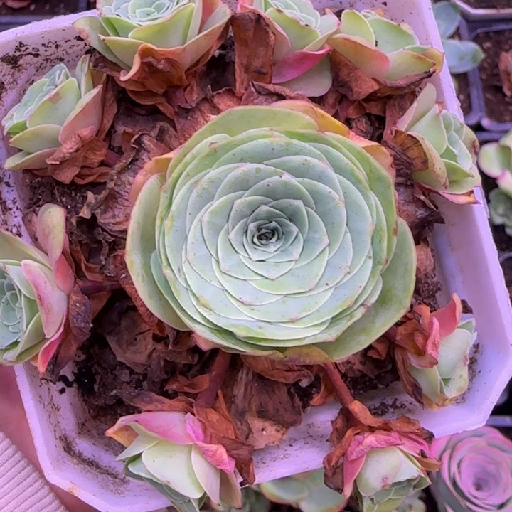 福利15855668885688858888889