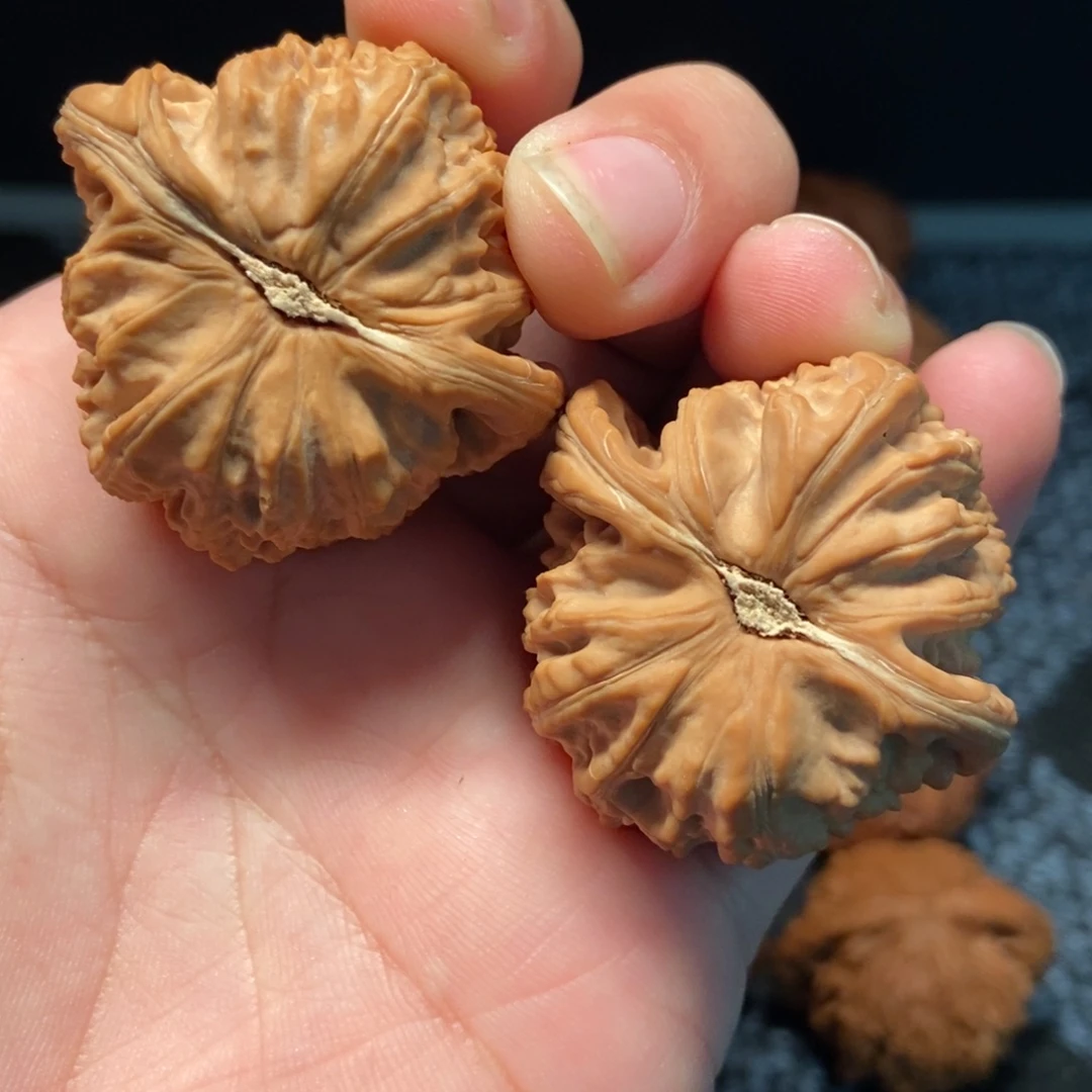 把件文玩核桃白狮子41全品