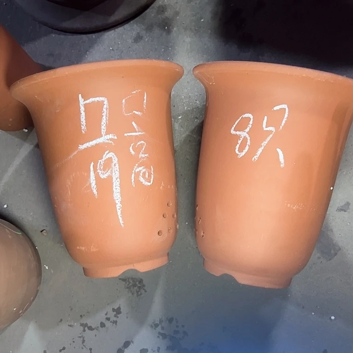 周三周四周三周四自作自受