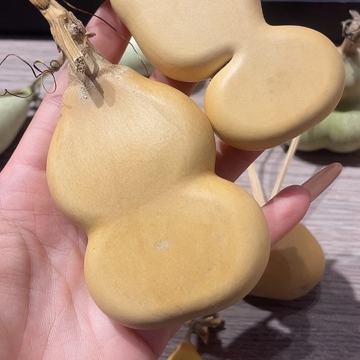 如***！葫芦葫芦葫芦葫芦