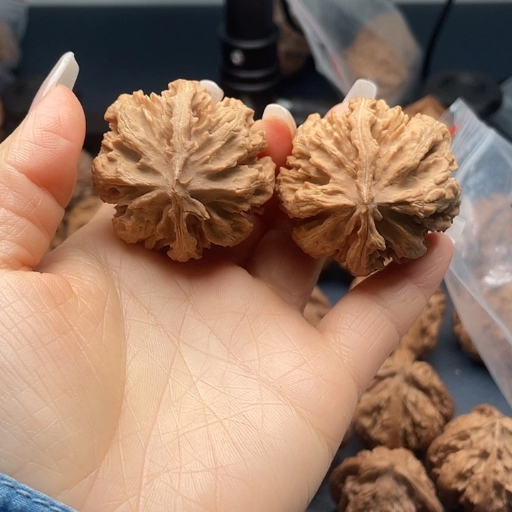 龙脊菩提把件秦岭核桃