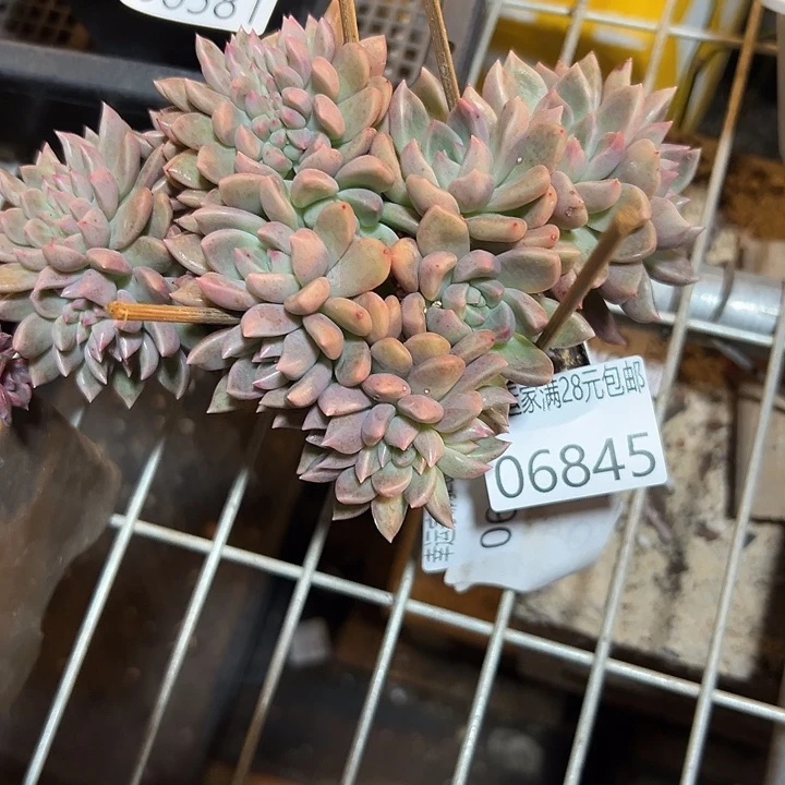 幸运的是我没有遇到过