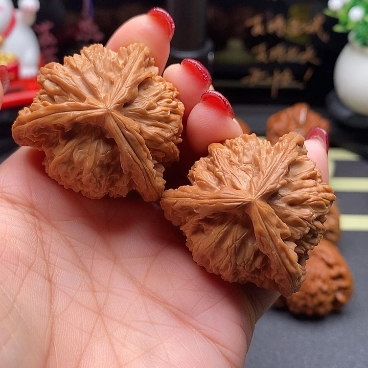 核桃40拼接白狮子