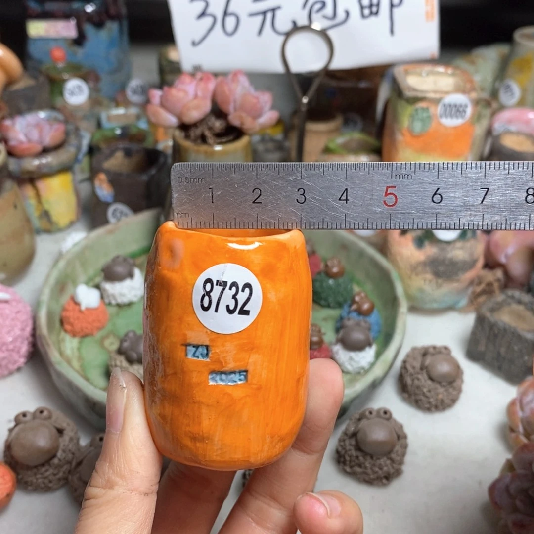 双十一活动不退不退原价28