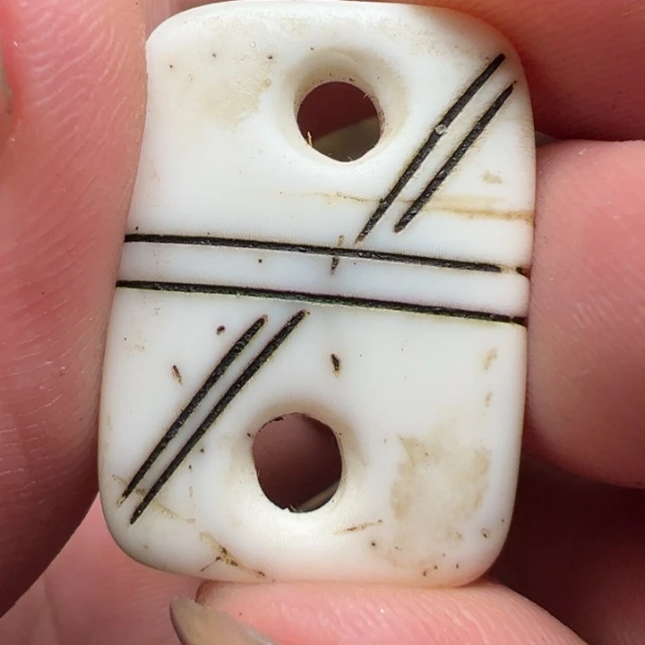 我们都是在这里关注