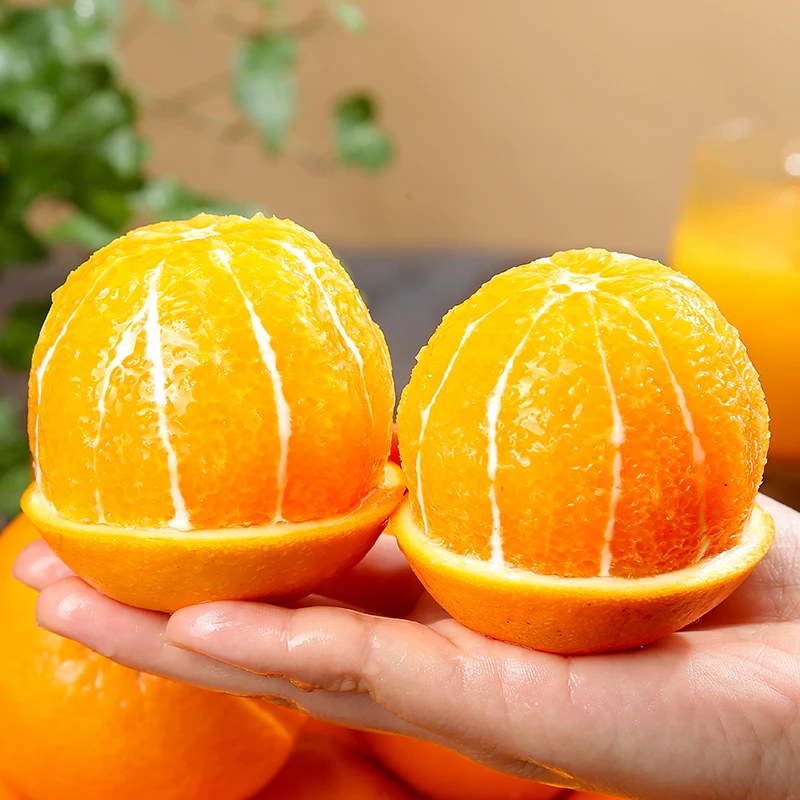 湖北纽荷尔脐橙4.5/9斤xm