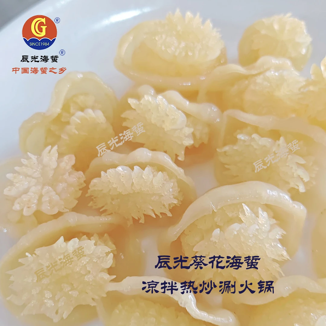 葵花海蜇（多种吃法）海蜇花 口感脆爽 凉拌热炒涮火锅（ 2斤/5斤 ）