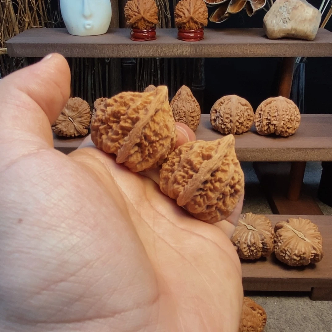 核桃手串/手链37全品马蹄