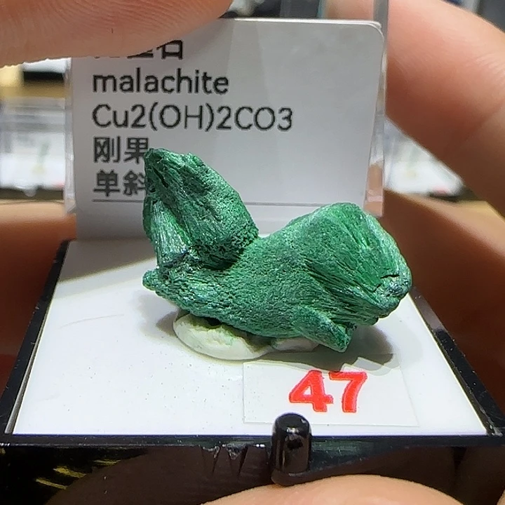 银S925孔雀女宝宝吧