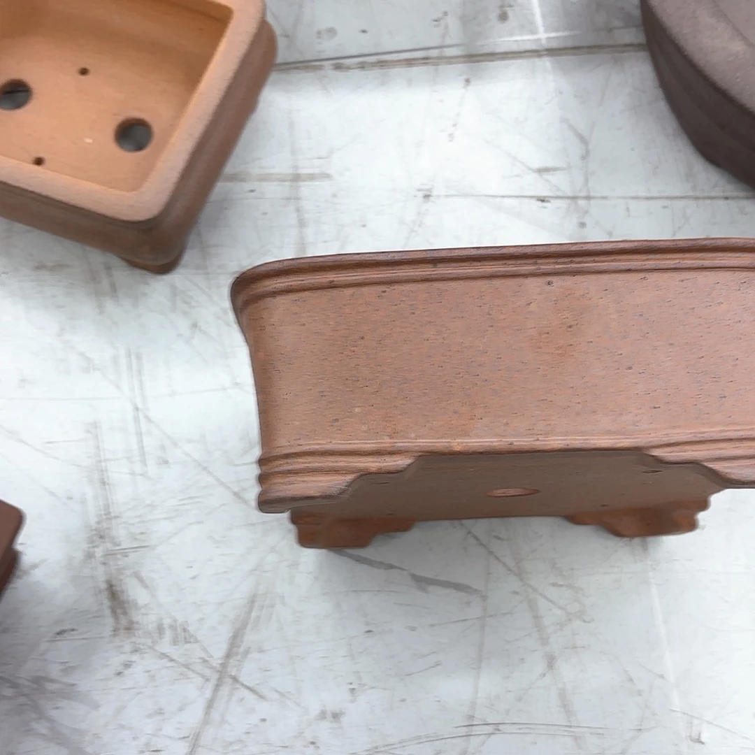 紫砂花盆紫砂的花开了没有呢还