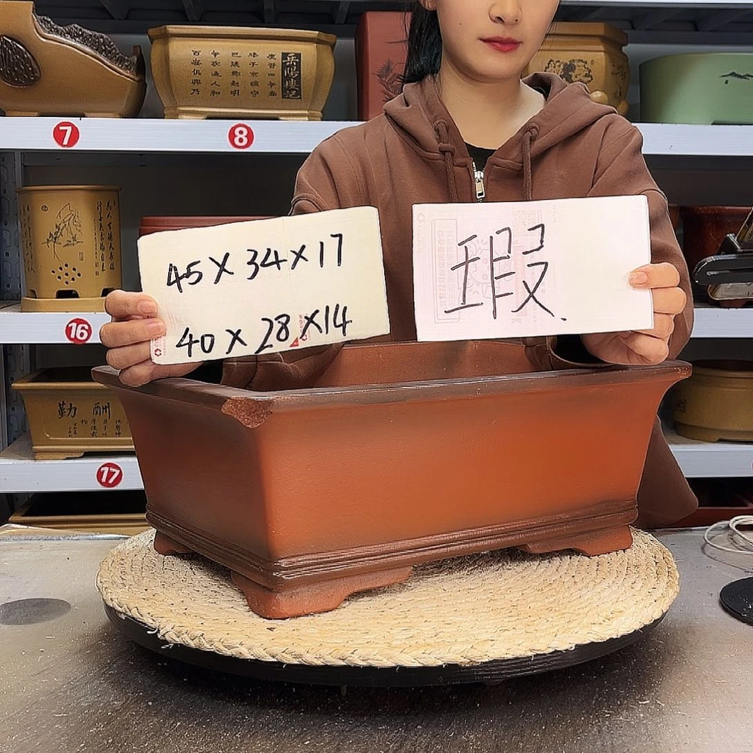 紫砂花盆背*紫砂花盆