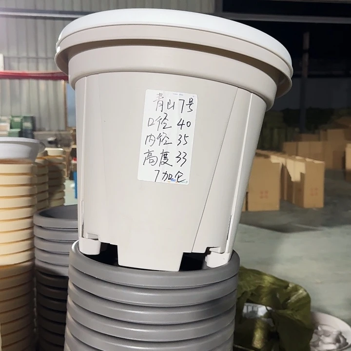 灰白7号青山口径40高33无托3个