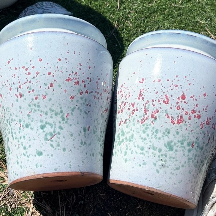 口19高24清仓价。。。。。。。