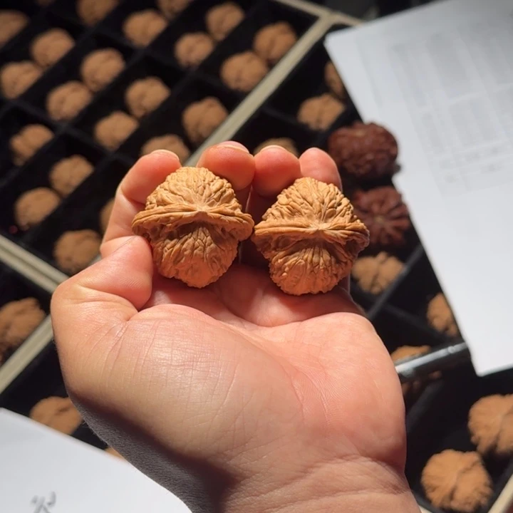 文玩核桃把件528号40mm全品白狮子