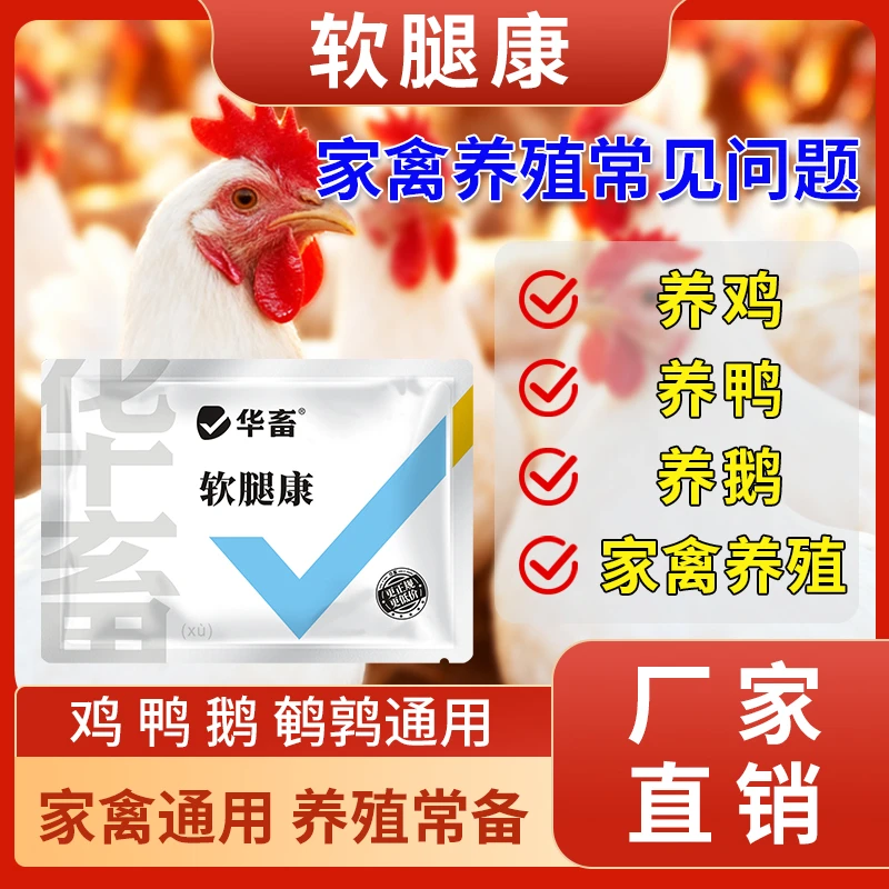 华畜软腿康100g鸡鸭鹅鸽家禽康养殖通用饲料添加剂厂家直发