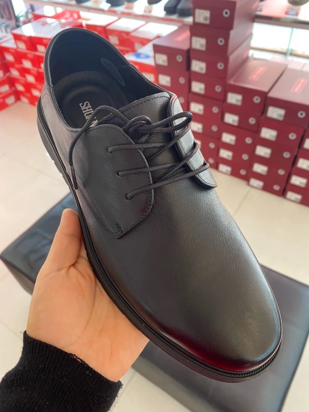 双凤2025春季新款商务休闲时尚真皮男士皮鞋71A-5017