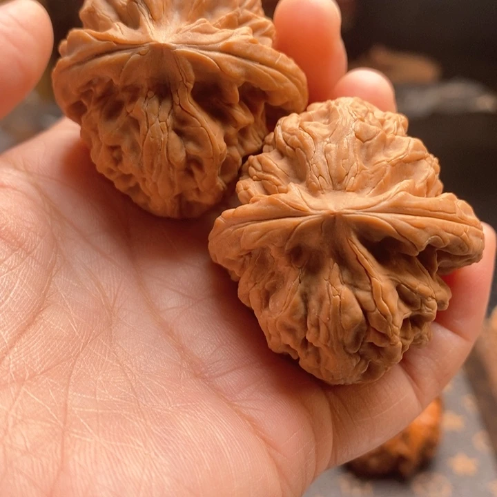 把件桃核红锦鲤44尺