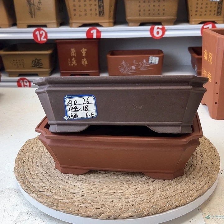 紫砂花盆蛇年大吉