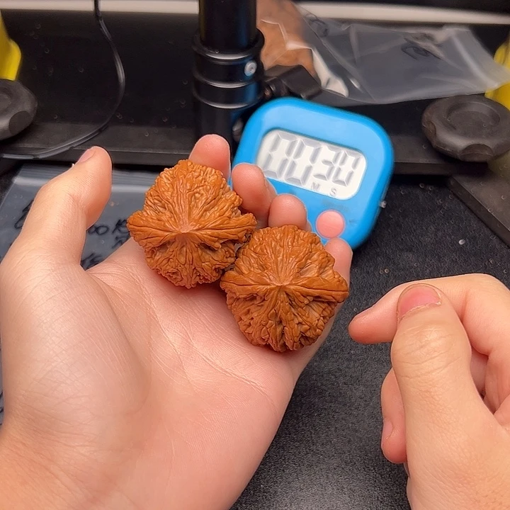 5555555555555555555555