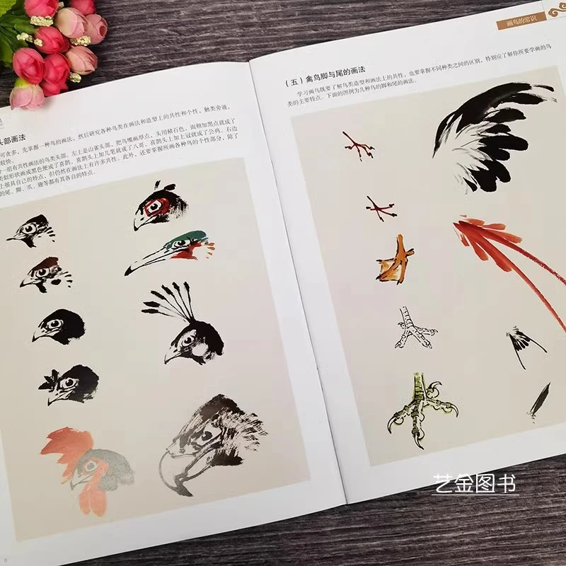 学一百通 鱼类  代替连接