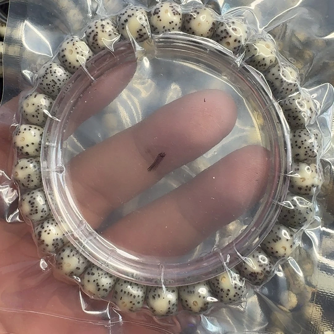 手串星月菩提黑冰