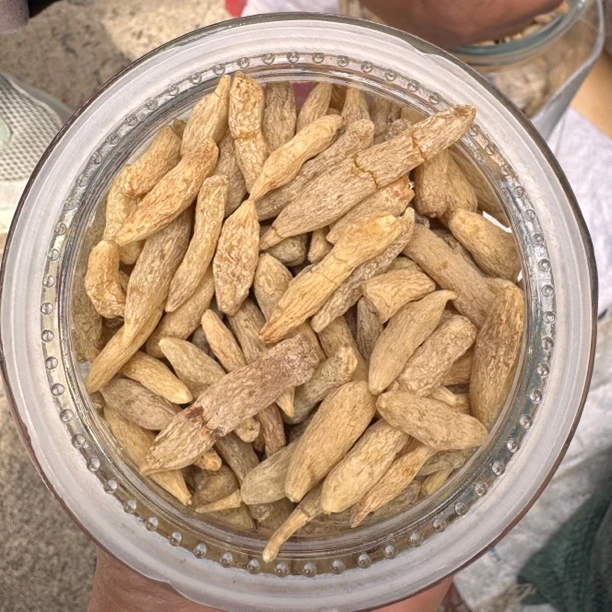 中缅农品-川麦冬