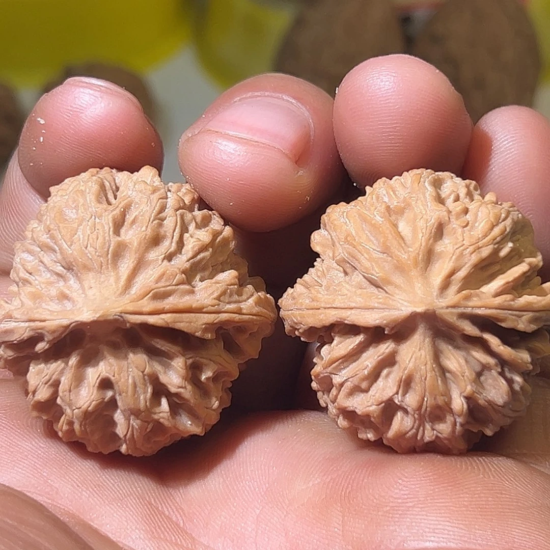 R***.把件文玩核桃文玩