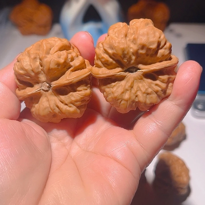 把件龙脊菩提文玩核桃