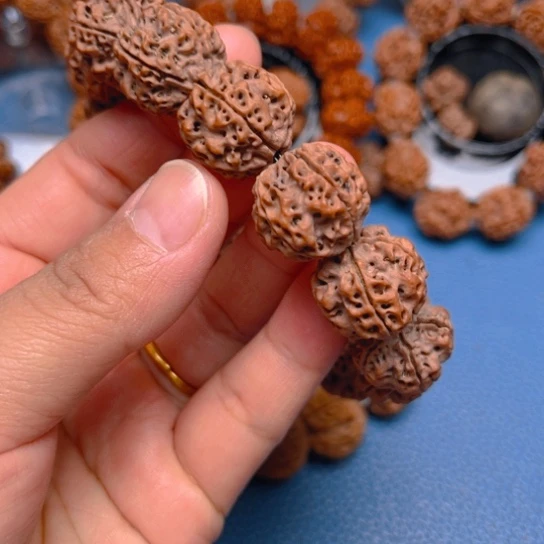 金刚菩提手串v257/19/5