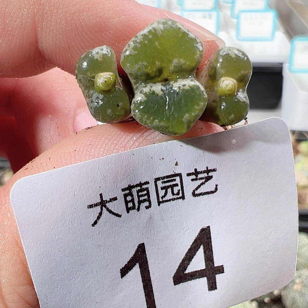 000014 一物一拍……