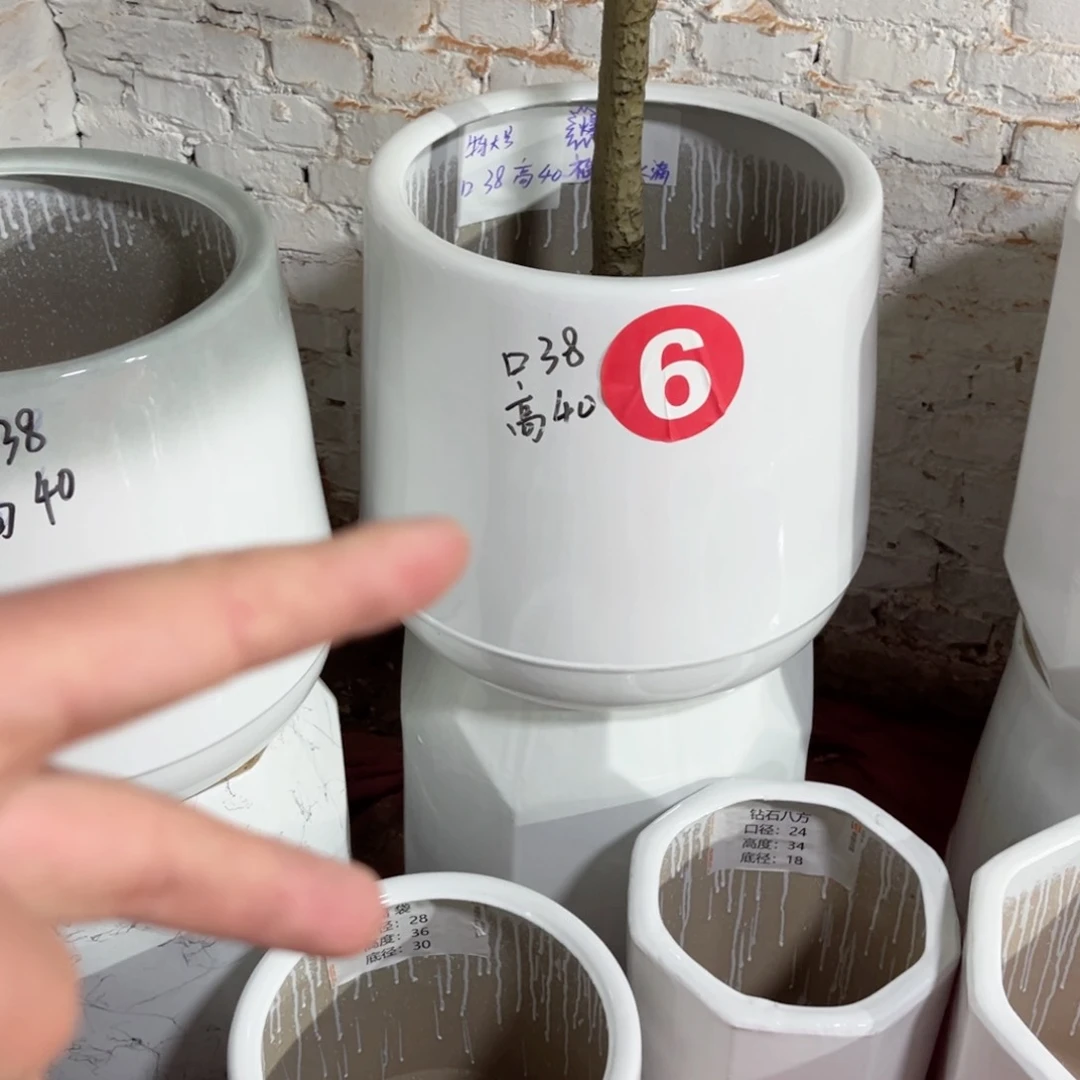 红陶6号瑕疵款12