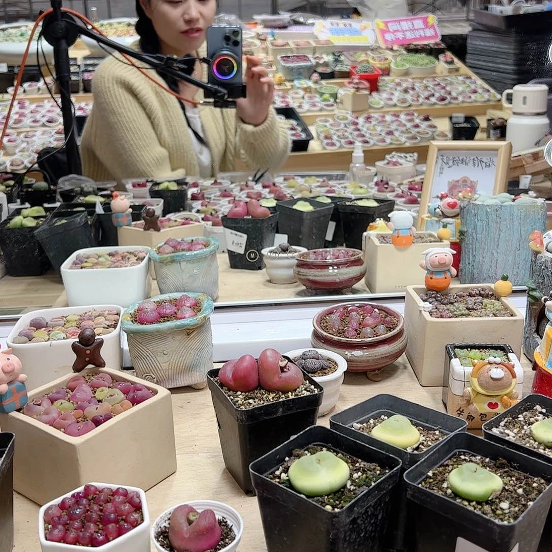 【闪购商品】33元情人节盒子