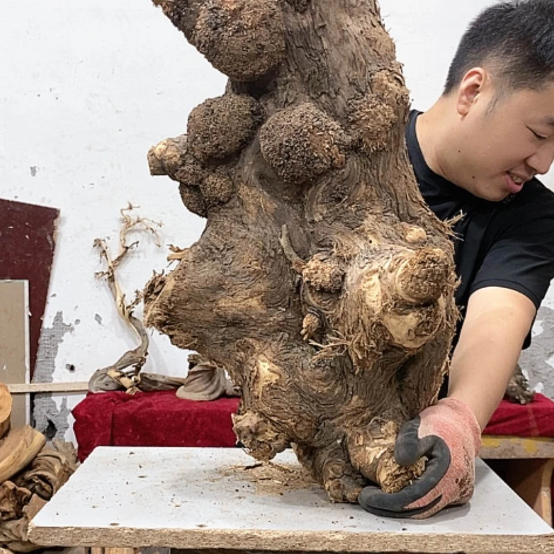 【闪购商品】柏木露**回我们都是好孩子
