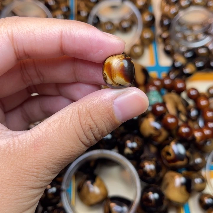 大果紫檀（缅甸花梨）1.4妖花单珠血柳