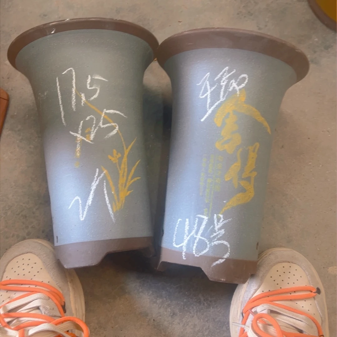 紫砂48…………………………………………