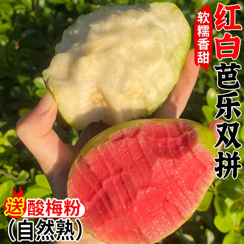 【放软食用】广西红心白心奶油芭乐新鲜水果番石榴软糯当应季整箱