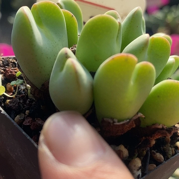 在一起就是不知道有啥3031