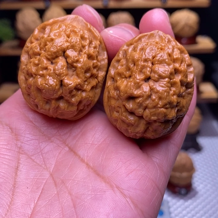 木质类云铁凤眼68