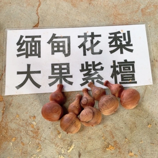 非洲紫檀（红花梨）