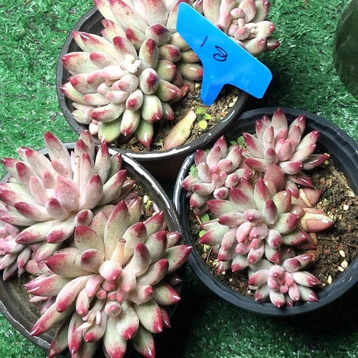 18/////////////////////