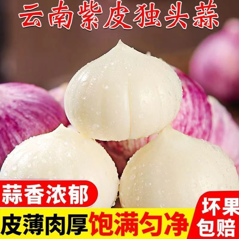 【超低价】云南2025紫皮独头蒜新鲜湿蒜农家新鲜0.5/1/2/3/5斤包邮