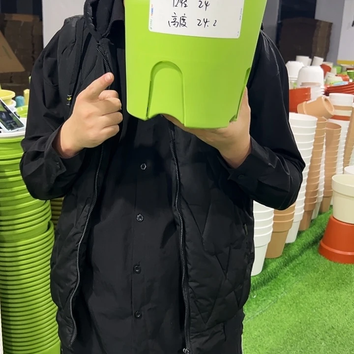 正品圆控口24高24果绿色8支无托