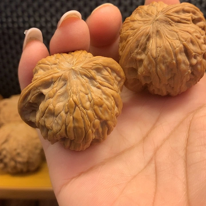 大叶紫檀（黑酸枝木类）