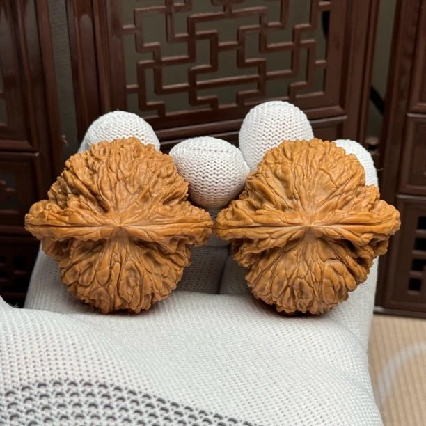 精选老树粗楞南疆石，边47肚44高39，山地老树球疆精配全品一物一图