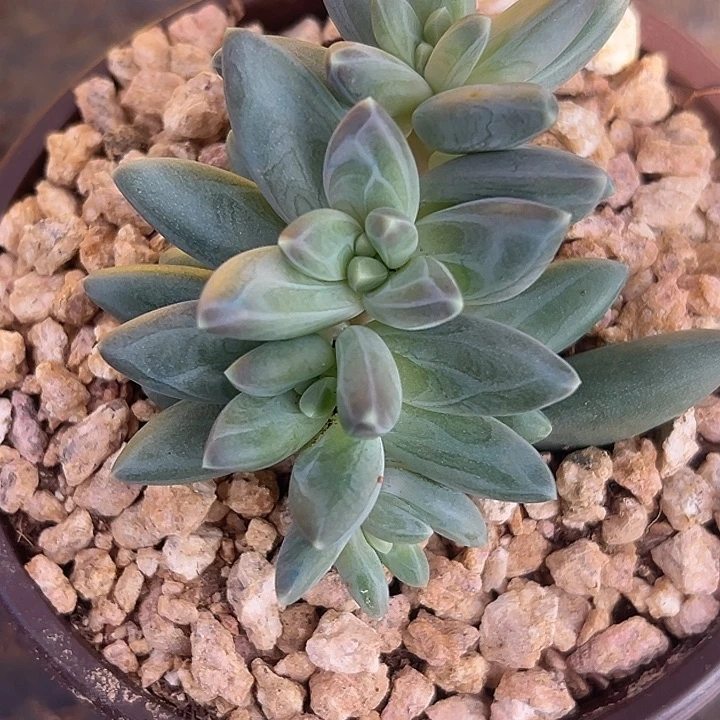 美人特价福利美人