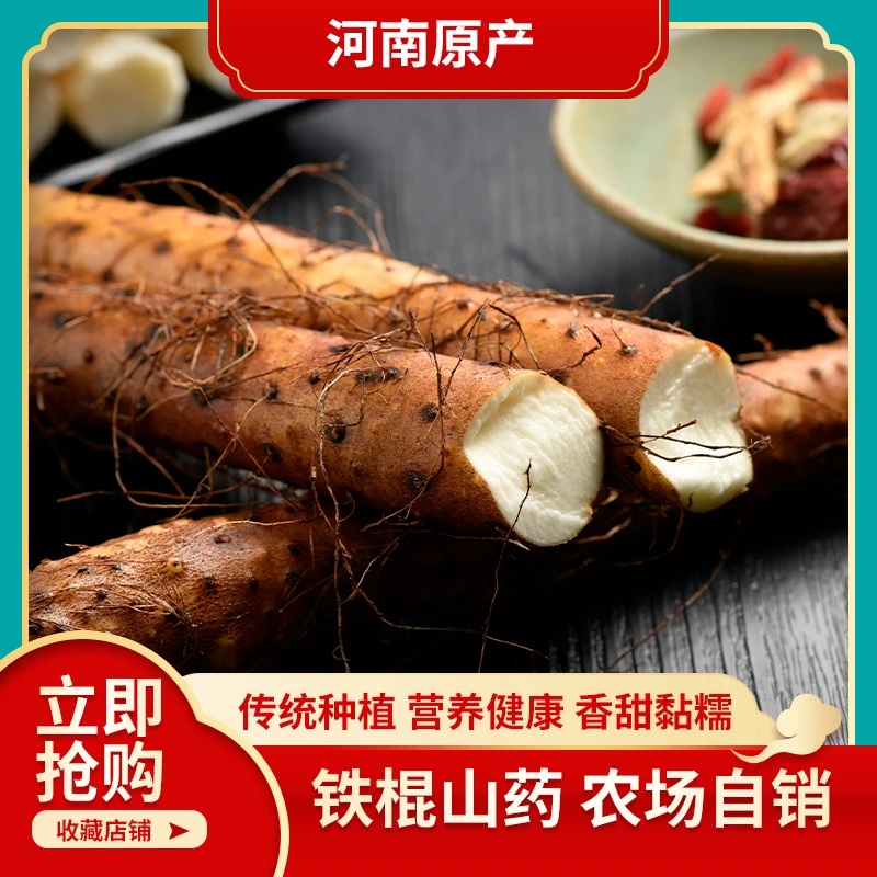 河南正宗新鲜铁棍山药现挖现发原产地直接发货软糯面香特产山药