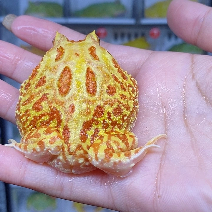 特价秒杀现货特价