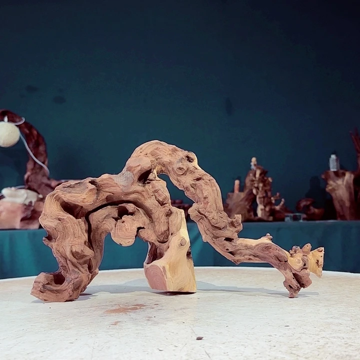 e***o木771 金丝红木羊蹄甲半成品